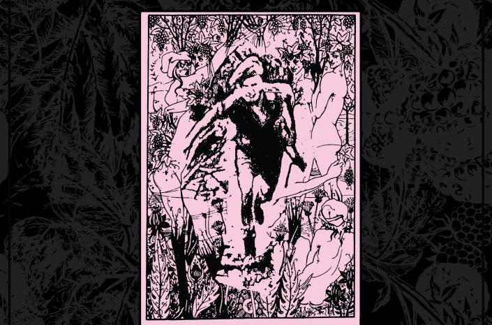 Review: Raspberry Bulbs - Before the Age of Mirrors
