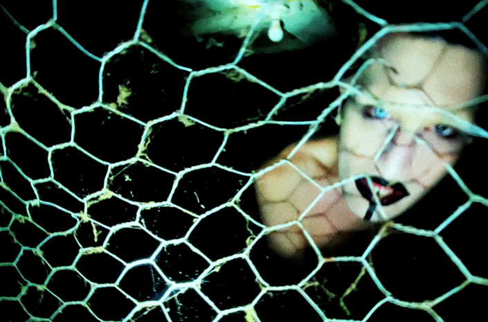 GLDN Release Controversial "Animal" Video
