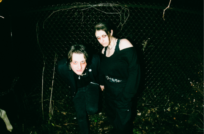 King Sans Announces Dipterid Records Debut LP